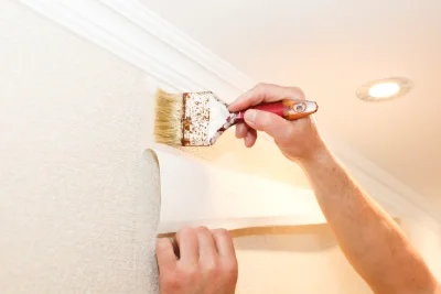 Pose de papier peint à Saint-Roman — revêtements muraux et toiles de verre